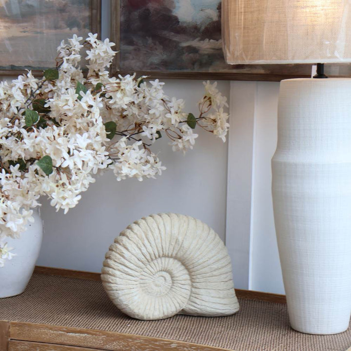 large ammonite shell ornament