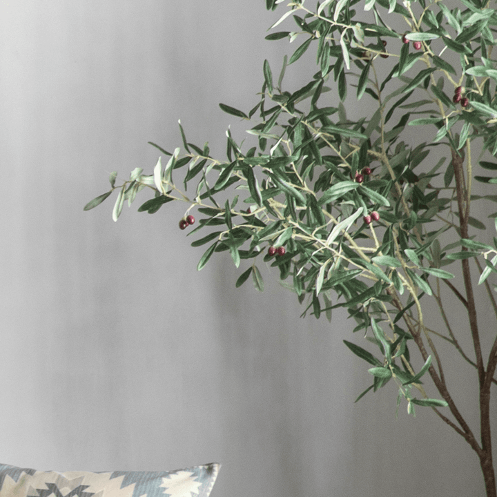 Large Olive Tree Green Gallery Direct